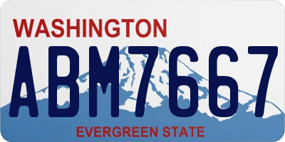 WA license plate ABM7667