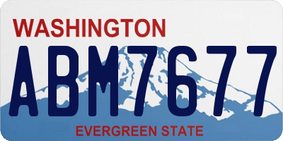 WA license plate ABM7677