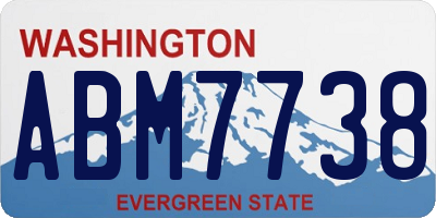 WA license plate ABM7738
