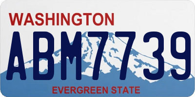 WA license plate ABM7739