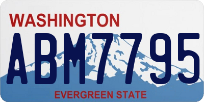 WA license plate ABM7795