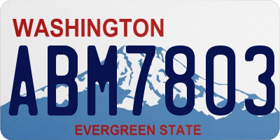 WA license plate ABM7803