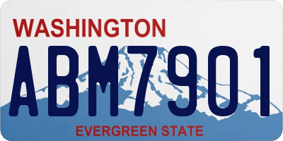 WA license plate ABM7901