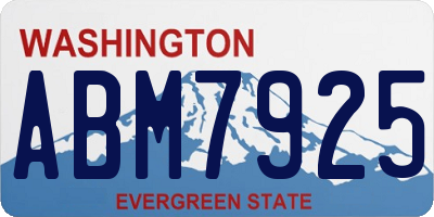 WA license plate ABM7925