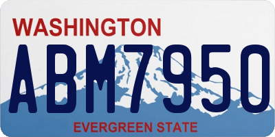 WA license plate ABM7950
