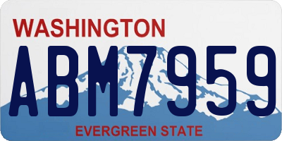 WA license plate ABM7959