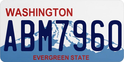 WA license plate ABM7960