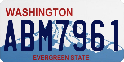 WA license plate ABM7961