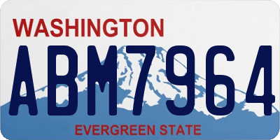 WA license plate ABM7964