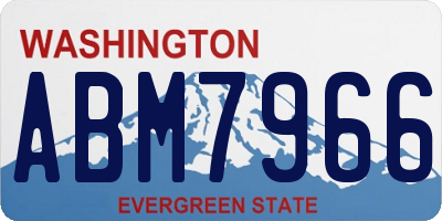 WA license plate ABM7966