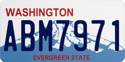 WA license plate ABM7971