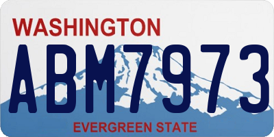 WA license plate ABM7973