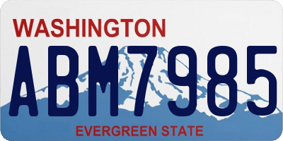 WA license plate ABM7985