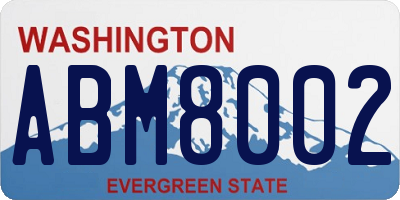 WA license plate ABM8002