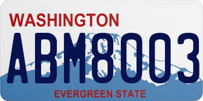 WA license plate ABM8003