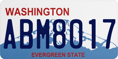WA license plate ABM8017