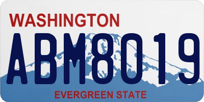 WA license plate ABM8019