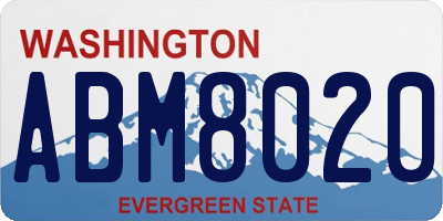 WA license plate ABM8020