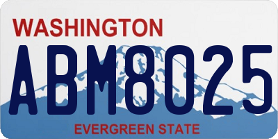 WA license plate ABM8025
