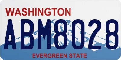 WA license plate ABM8028