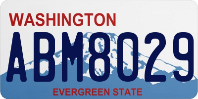WA license plate ABM8029