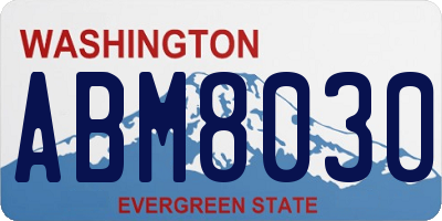 WA license plate ABM8030