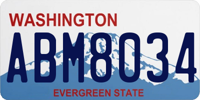 WA license plate ABM8034