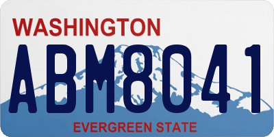 WA license plate ABM8041