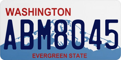 WA license plate ABM8045