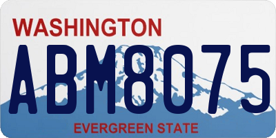 WA license plate ABM8075