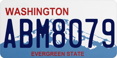 WA license plate ABM8079