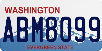 WA license plate ABM8099