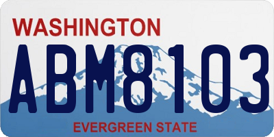 WA license plate ABM8103