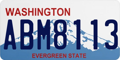 WA license plate ABM8113