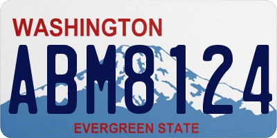 WA license plate ABM8124