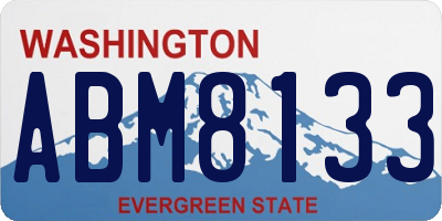 WA license plate ABM8133