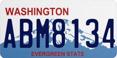 WA license plate ABM8134