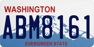 WA license plate ABM8161