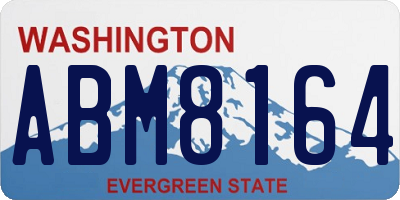 WA license plate ABM8164