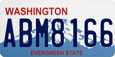 WA license plate ABM8166