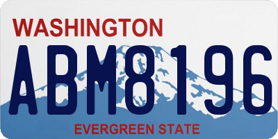 WA license plate ABM8196