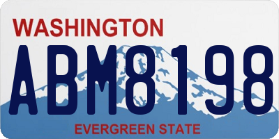 WA license plate ABM8198