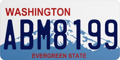 WA license plate ABM8199