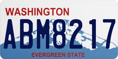 WA license plate ABM8217