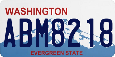 WA license plate ABM8218