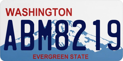 WA license plate ABM8219