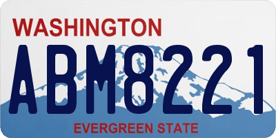 WA license plate ABM8221