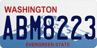 WA license plate ABM8223