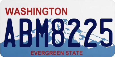 WA license plate ABM8225