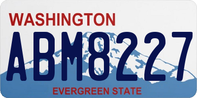 WA license plate ABM8227